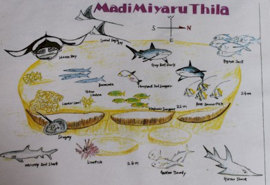 Madi Miyaru Thila
